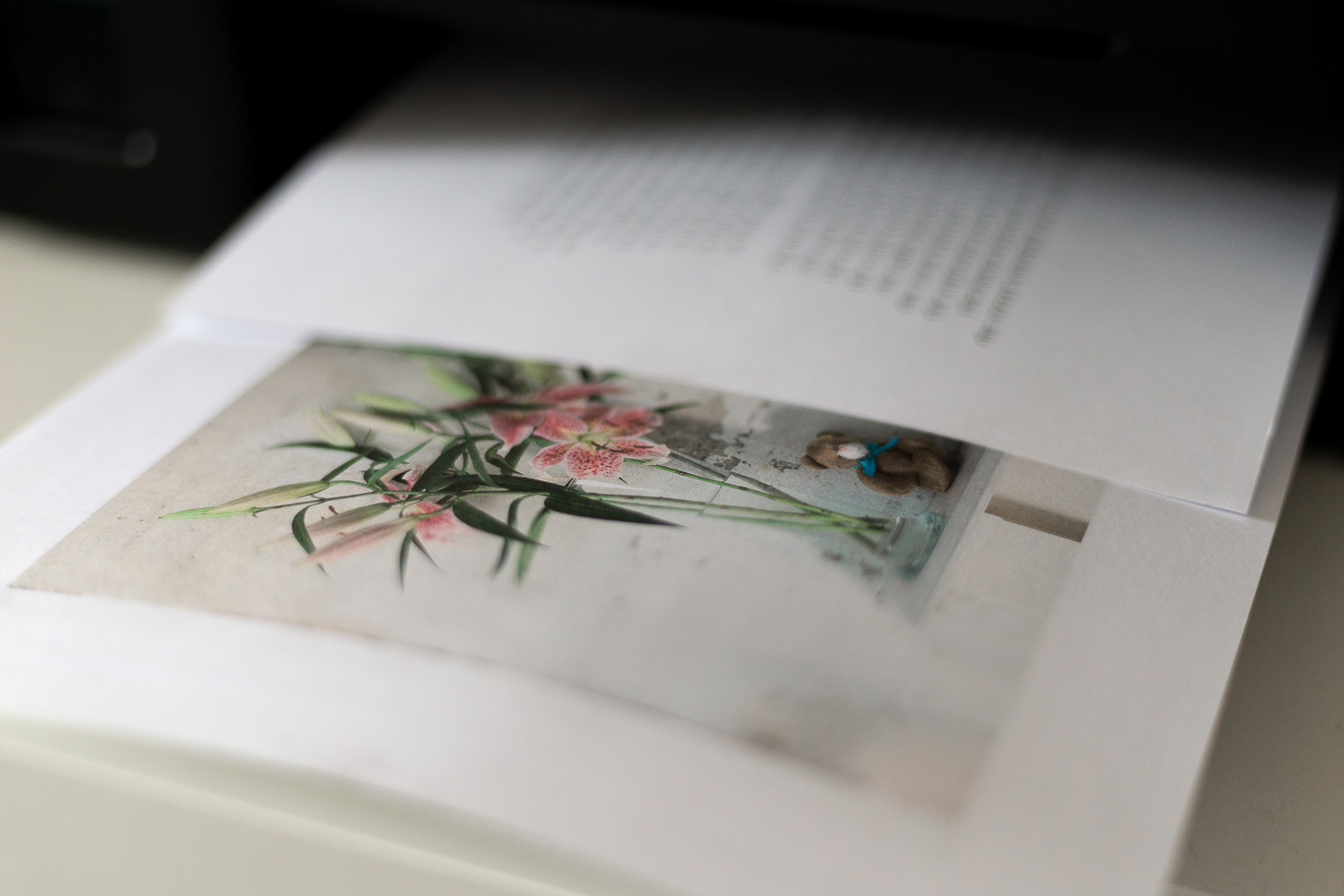 how-to-make-a-photography-zine