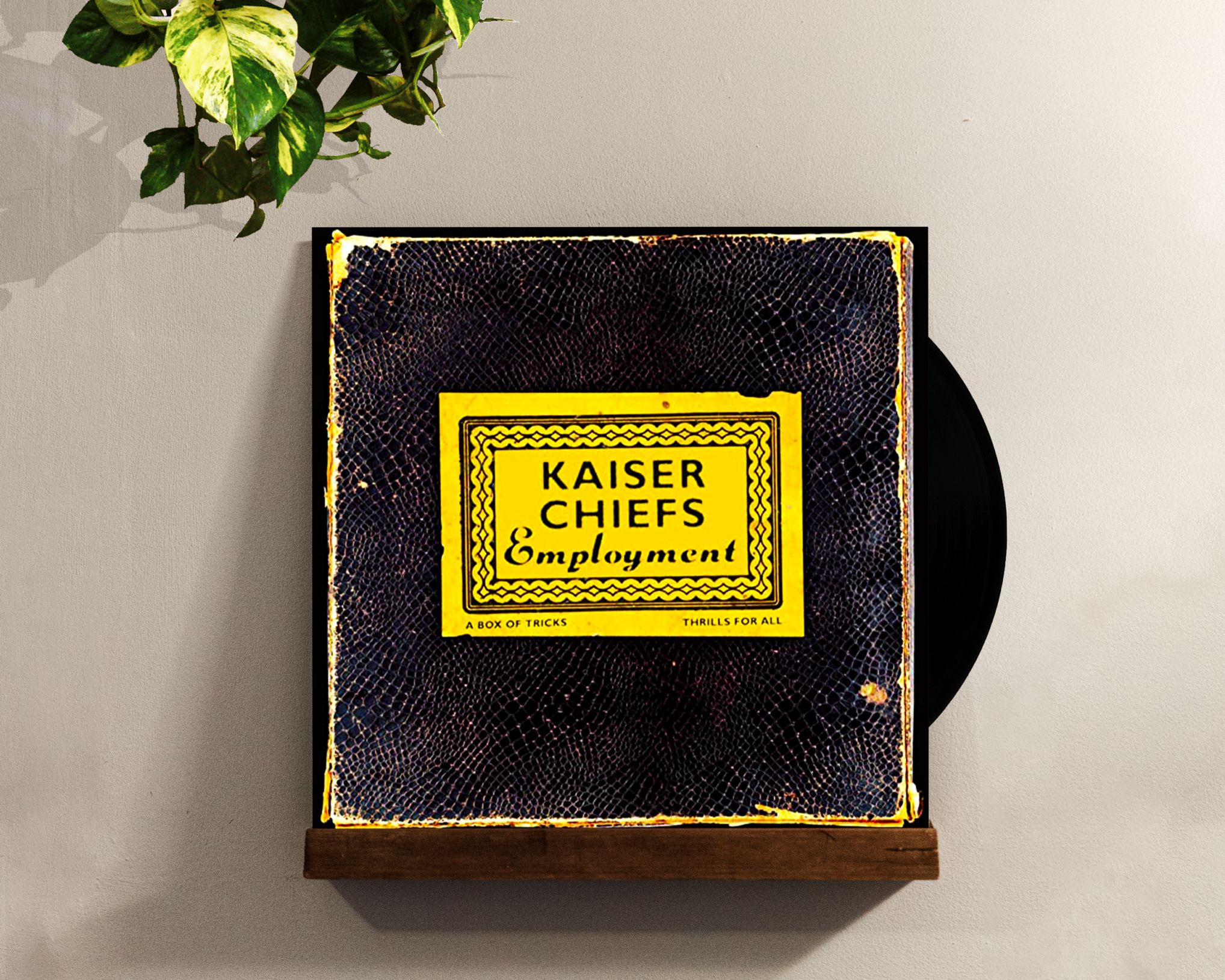 Kaiser Chiefs - Employment - My Record Collection - Vinyl